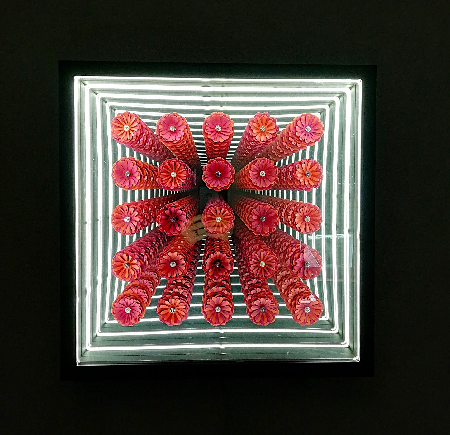 Floraison Éternelle - tableau lumineux coloré ruban LED néon