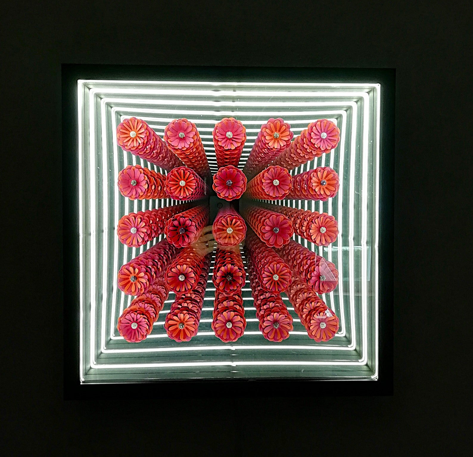 Floraison Éternelle - tableau lumineux coloré ruban LED néon